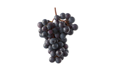 Fototapeta premium Dark red grape bunch isolated on transparent background