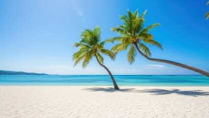 Obraz premium Coconut palm trees an pristine bounty beach