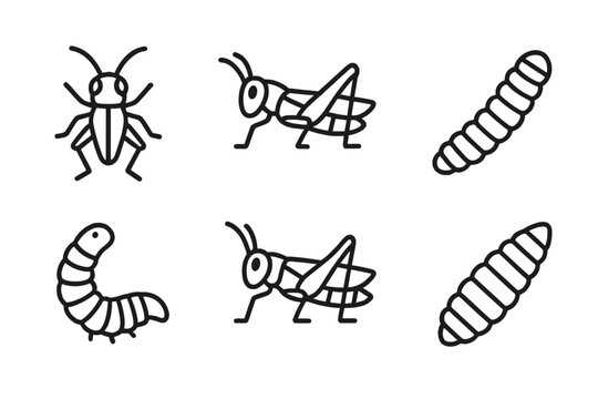 Edible Insect Icons. Line style icons of edible insects: cricket, grasshopper, mealworm, silkworm, locust, black soldier fly larva