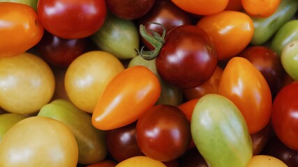 A medley of colorful small cherry tomatoes. A close-up shot of many tomatoes in a punnet. The tomatoes come in red, yellow, and orange colors and have different oblong shapes.