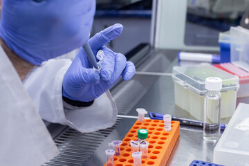 A scientist works with DNA molecules in a fume hood, performing genetic modifications on genes.