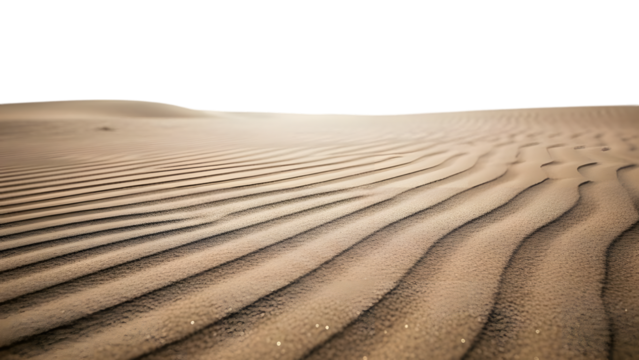 Rippled sand dunes with soft light casting shadows and highlights isolated on a transparent background