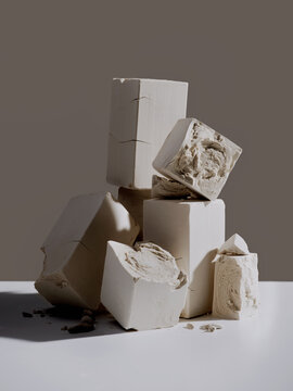 levure de bi&egrave;re vivante , levure de boulanger , levure fra&icirc;che en blocs , 