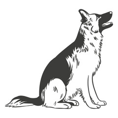 German shepherd sitting hand drawn