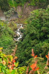 The Chinchin&aacute; River in Villamar&iacute;a Caldas in the Colombian Andes, surrounded by colorful and lush natural vegetation that brims with biodiversity and life.