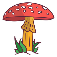 Fungus amanita mushroom illustration