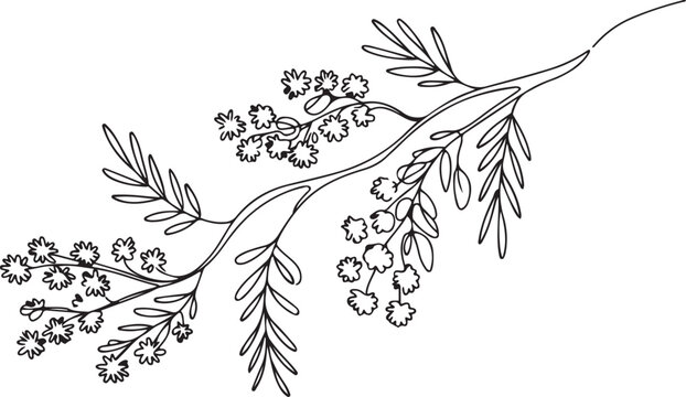 Mimosa Illustration」の写真素材 | 22,594件の無料イラスト画像