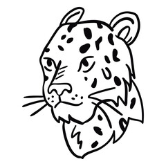 Puma head profile stroke