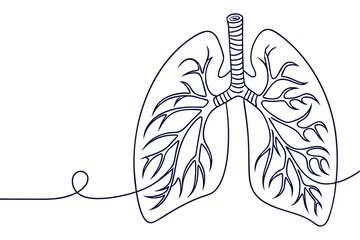 Minimalist Line Drawing of Human Lungs Healthcare Illustration Medical Anatomy Concept