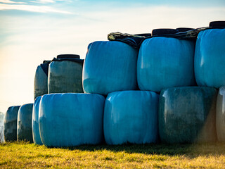 Obraz premium Stroh und Silageballen lagern auf einem Feld 