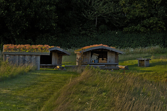 houses in the woods - Powered by Adobe