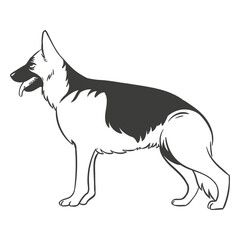 German shepherd side hand drawn dog