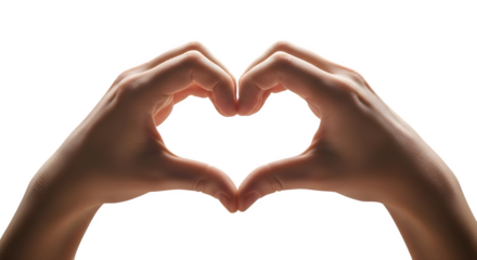 Hands Forming a Heart Shape Against a White Background Symbol of Love and Affection