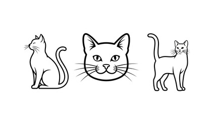 Obraz premium Set of line art icons representing graphic design tool concept