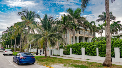 Dramatic scene of a classic white mansion and multiple palm trees, contrasting with the blue sky overhead.
