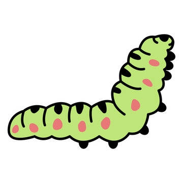 Worm bug animal color storke