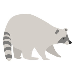 Raccoon animal cute