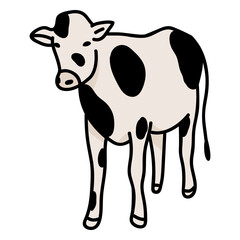 Semi flat milk cow