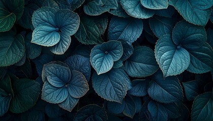 Dramatic arrangement of vibrant teal leaves showing intricate texture and natural beauty