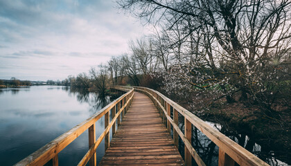 A serene wooden footbridge curves gently over a tranquil body of water, leading towards a forest on a cool, overcast day