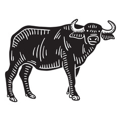 Hand drawn african buffalo side