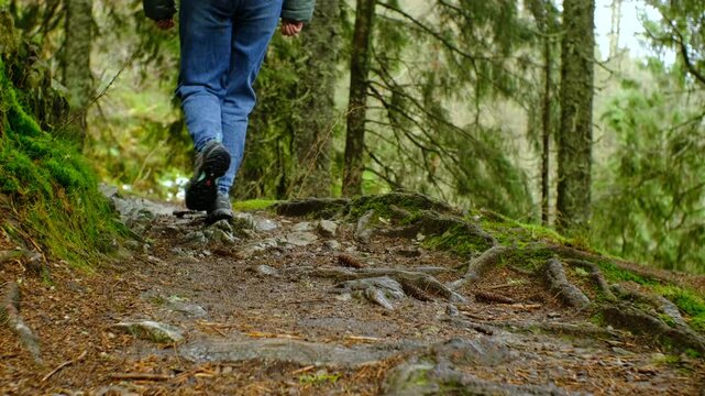 Unrecognizable legs walking along forest trail, close-up tracking shot