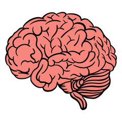 Human brain color stroke