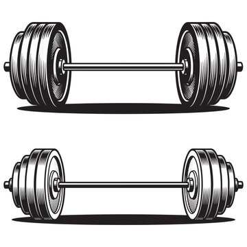 Vintage engraved style barbell illustration set. Hand drawn heavy weight lifting equipment for gym and fitness.