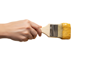 Macro shot of a caucasian hand painting a thick goldenrod yellow stroke with a wooden brush on a white wall. Concept of renovation and creativity