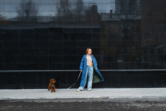 Woman walking dog in urban setting with modern style