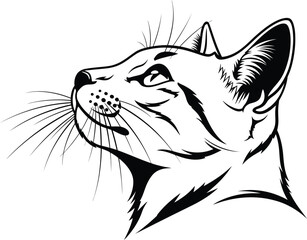“Elegant Cat Profile Line Drawing – Detailed Feline Head Outline Art”