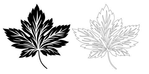 black and white flower