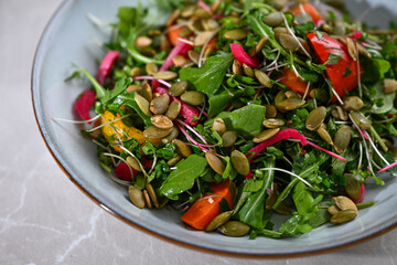 Close up of Arugula, Broccoli Sprouts, Roasted Peppers, Fresh Herbs, and Pumpkin Seeds Salad