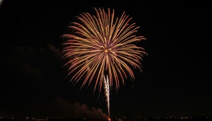 Large golden and red firework burst illuminates the dark sky with long, vibrant streaks in a spectacular pyrotechnic display over a distant city