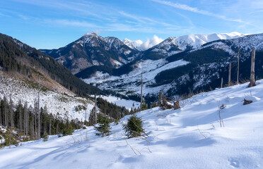 Western Tatra in winter. View of Chocholowska Glade.
