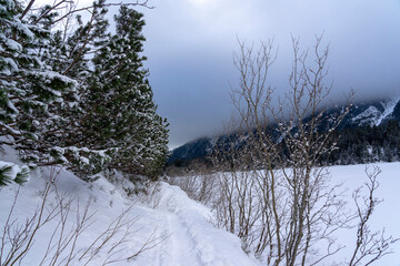Mountain landscape in winer. Area of ​​Popradske pleso lake in the High Tatras in Slovakia.