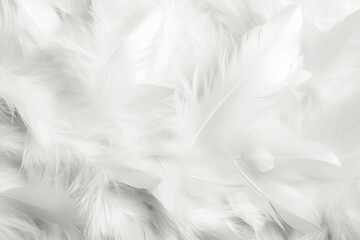 Obraz premium Cloud Dancer color of year 2026. Texture of delicate lofty white soft feathers