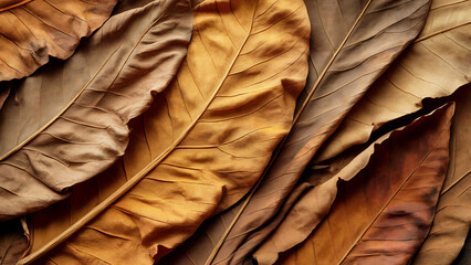A close-up photograph of aged tobacco leaves displaying rich, organic texture and weathered surfaces. The dried leaves showcase a spectrum of warm earth tones from deep amber to rustic brown, with int