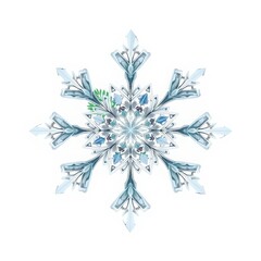Detailed snowflake illustration with geometric patterns and white background design element