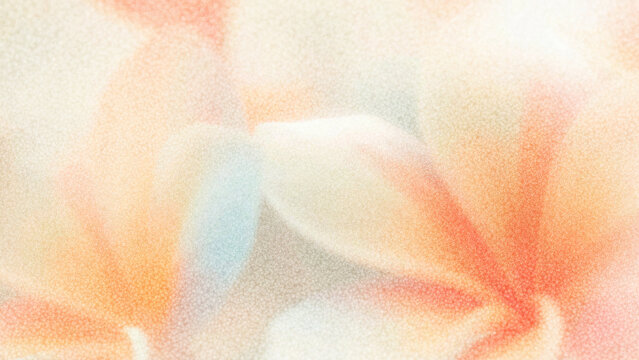 Colorful plumeria flowers softly glowing in natural light