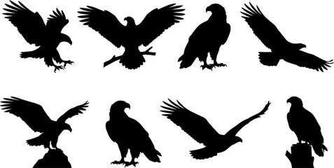 Eagle Silhouettes in Flight and Perching Poses, Wildlife Vector Icons for Nature, Design Projects - flavector