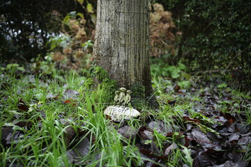 Tree Base with Moss and Small Garden Figurines – Damp Woodland Ground