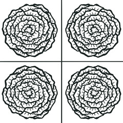 floral design elements doodle sketch illustration
