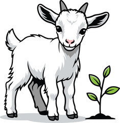 Adorable white baby goat standing next to a small green plant