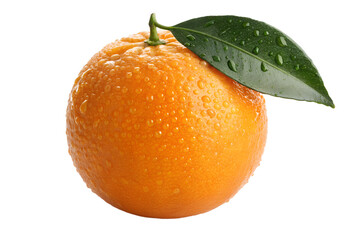 Fresh Whole Orange with Green Leaf and Water Droplets &ndash; High Resolution Studio Photo