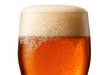 Beer glass showing golden beverage with white foam and bubbles, refreshing alcoholic drink on transparent background