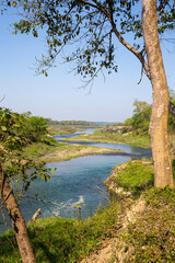 Obraz premium River landscape with blue sky and green forest scenery.