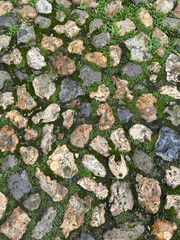 gros plan sur une rue pavée. De l'herbe et de la mousse poussent entre les pavés. Peut servir d'arrière-plan ou de texture