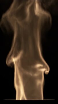 Cannot add property user_visible_token, object is not extensible