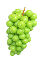 Fresh green grapes on stem against white background